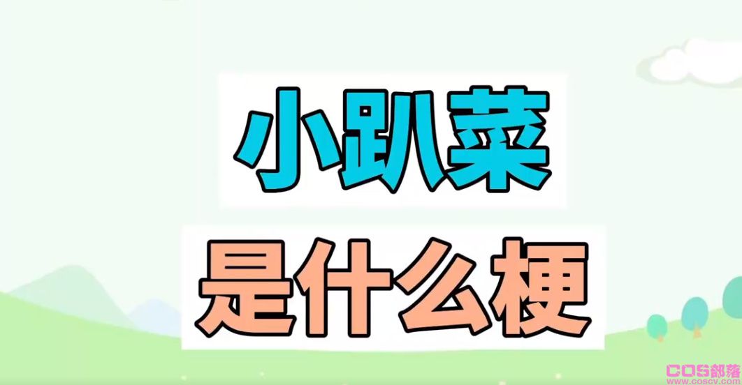 小趴菜是骂人的方言吗？ 具体是什么意思？(图2)