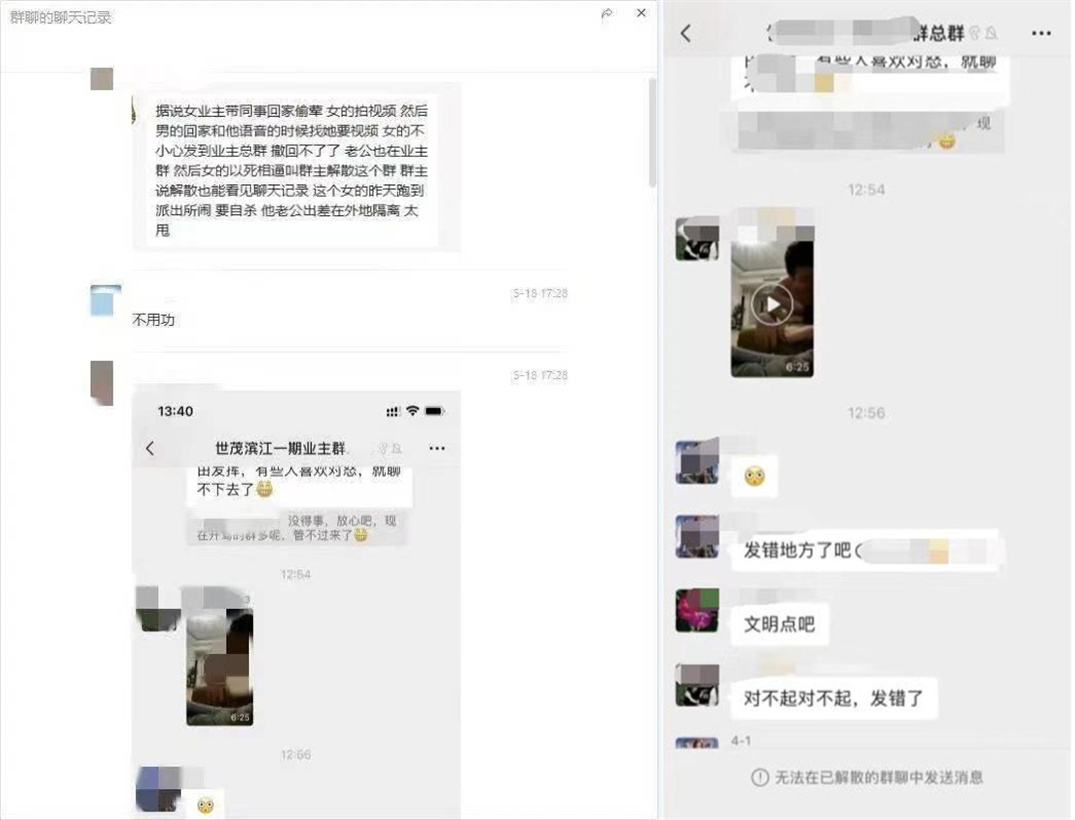 你如何看待“世茂滨江一期业主群6分24秒视频”一事？(图2)