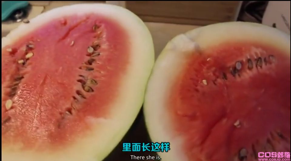 从100年前猪都不吃的石山西瓜，到现在人人追捧的顶级西瓜(图1)