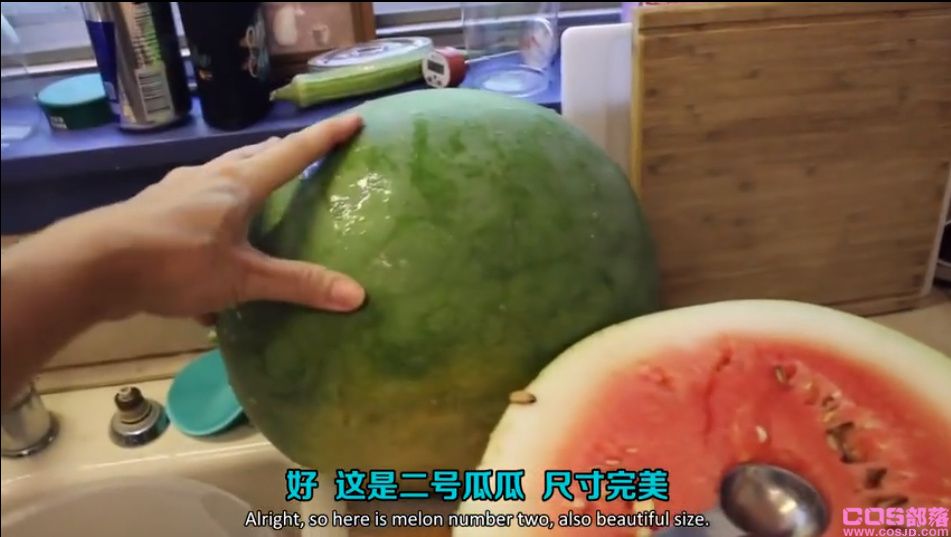 从100年前猪都不吃的石山西瓜，到现在人人追捧的顶级西瓜(图2)