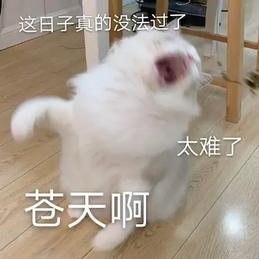 如何看待“卢雷元年事件后续”这两位211学生会被开除学籍吗?(图4) 如何看待“卢雷元年事件后续”这两位211学生会被开除学籍吗?(图4)