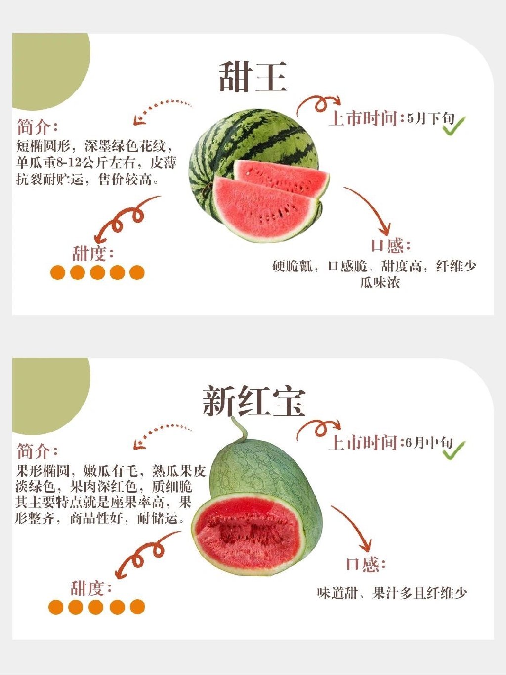 梦中情瓜文案什么梗？ 如何挑到梦中情瓜？(图4)