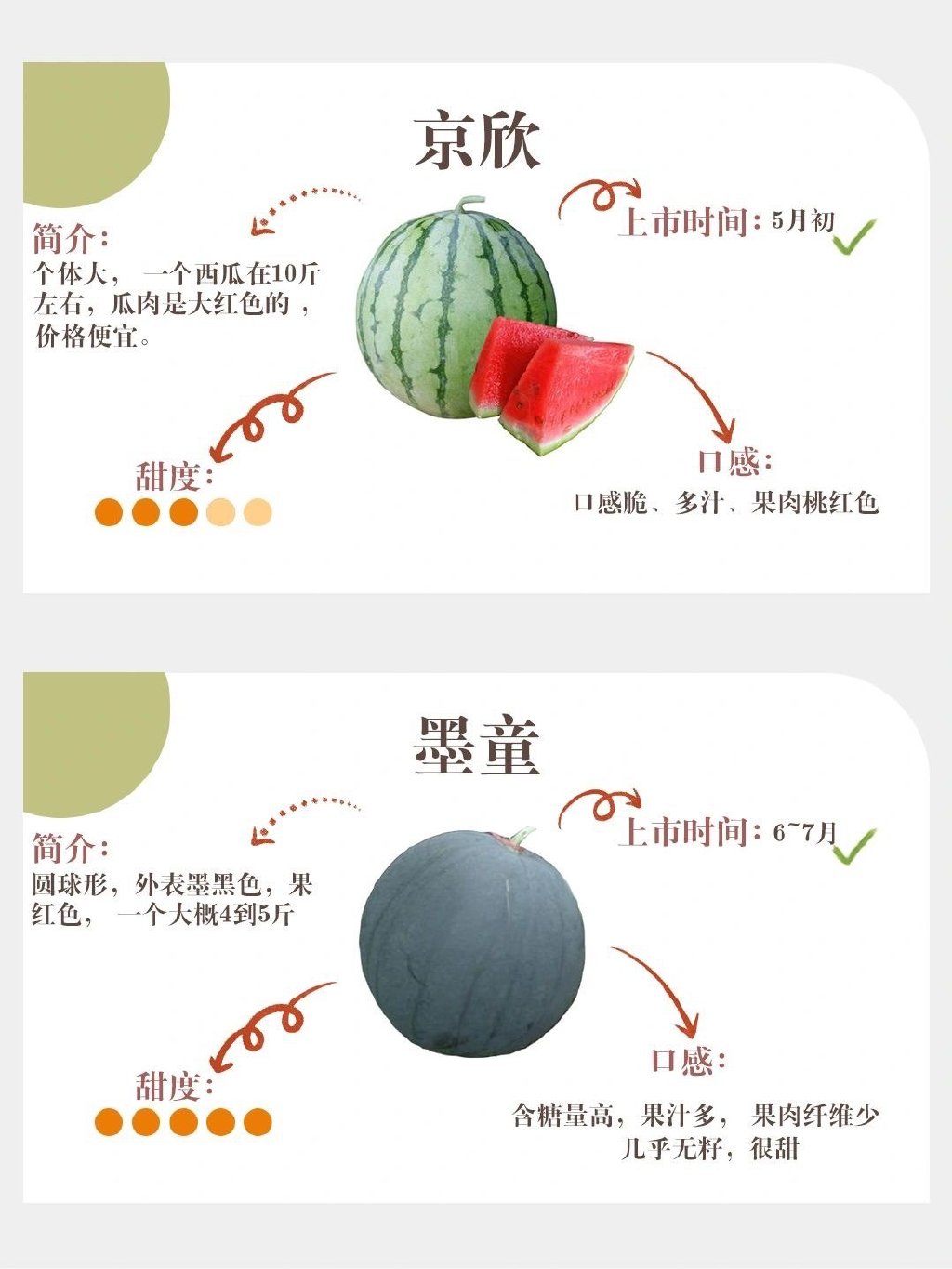 梦中情瓜文案什么梗？ 如何挑到梦中情瓜？(图3)