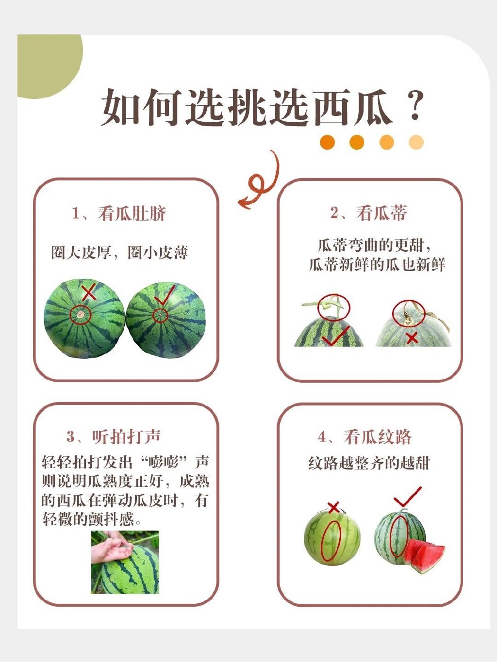 梦中情瓜文案什么梗？ 如何挑到梦中情瓜？(图6)