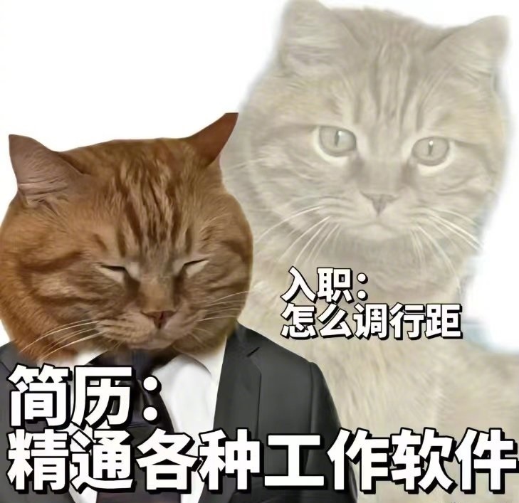 精通excel可以拿多少工资？重新定义精通excel(图1)