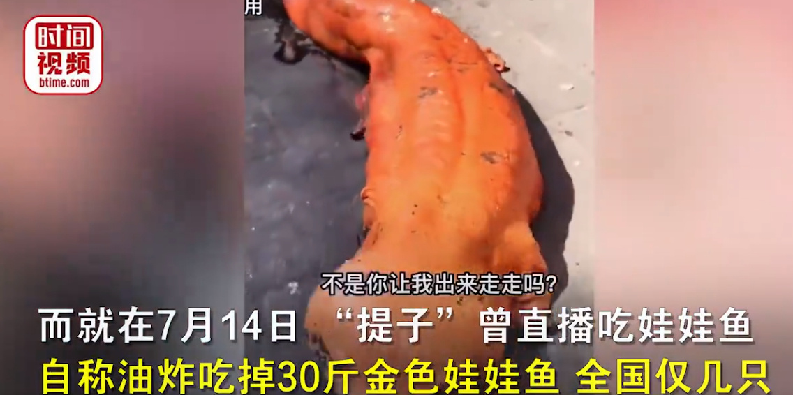 网红提子吃大白鲨原视频 曾直播吃油炸娃娃鱼(图2)