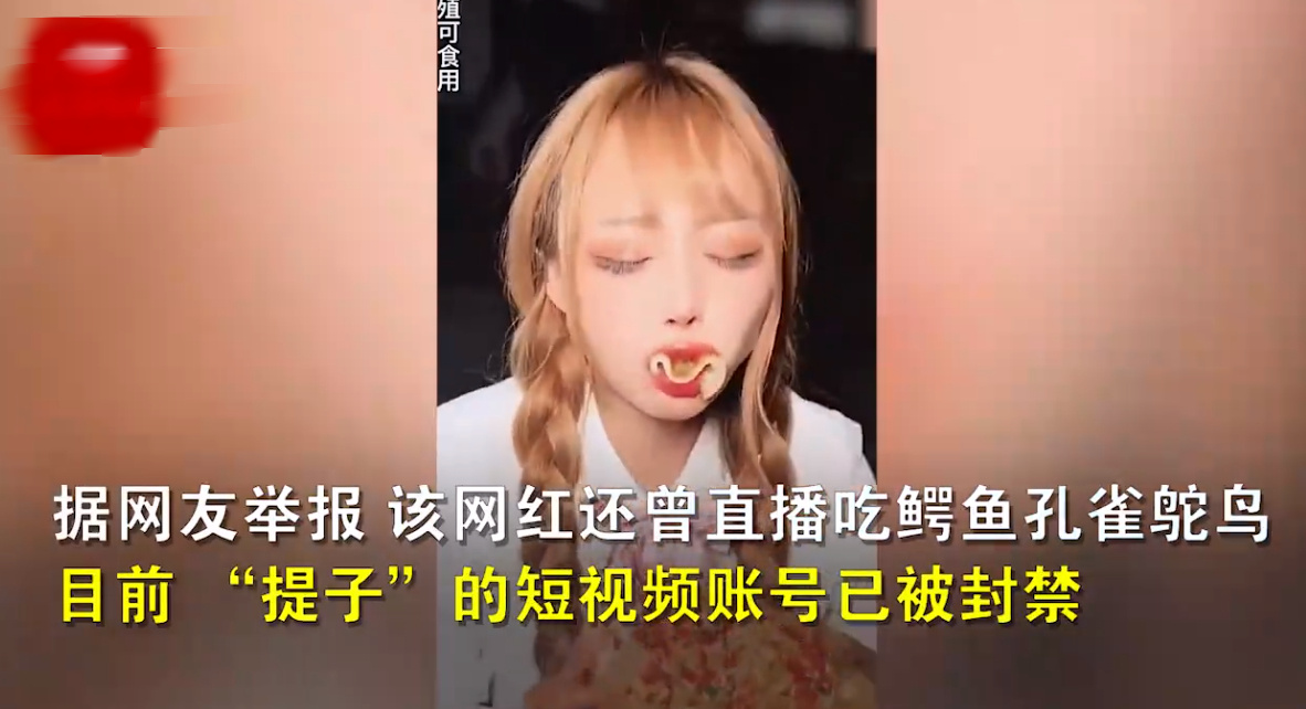 网红提子吃大白鲨原视频 曾直播吃油炸娃娃鱼(图3)