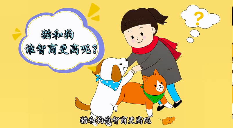 猫和狗哪个智商高？ 谁聪明这样一看就知(图2)