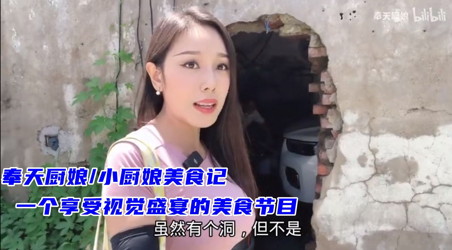 奉天厨娘/小厨娘美食记 一个享受视觉盛宴的美食节目(图3)
