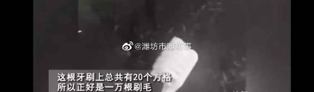 一万根毛的牙刷 男子质疑小小牙刷真的有一万根吗？(图2)