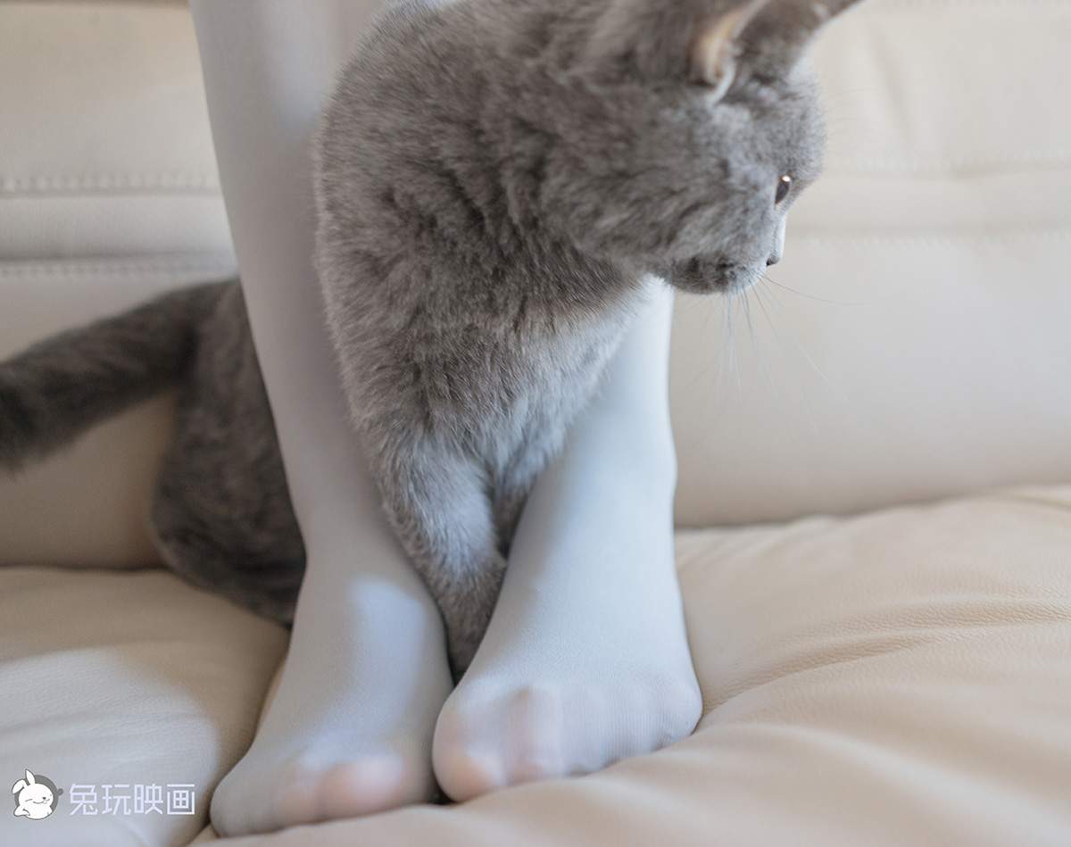 [兔玩映画] 猫与少女[542MB/45P](图2)
