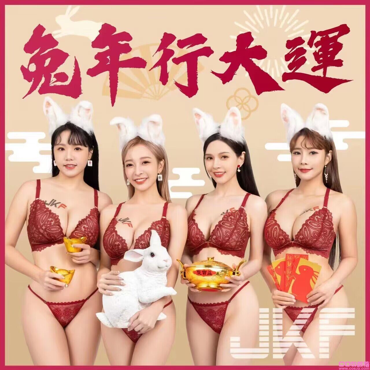 给大家拜年了祝大家新年快乐 财源广进 鸿兔大展 兔年行大运(图2)