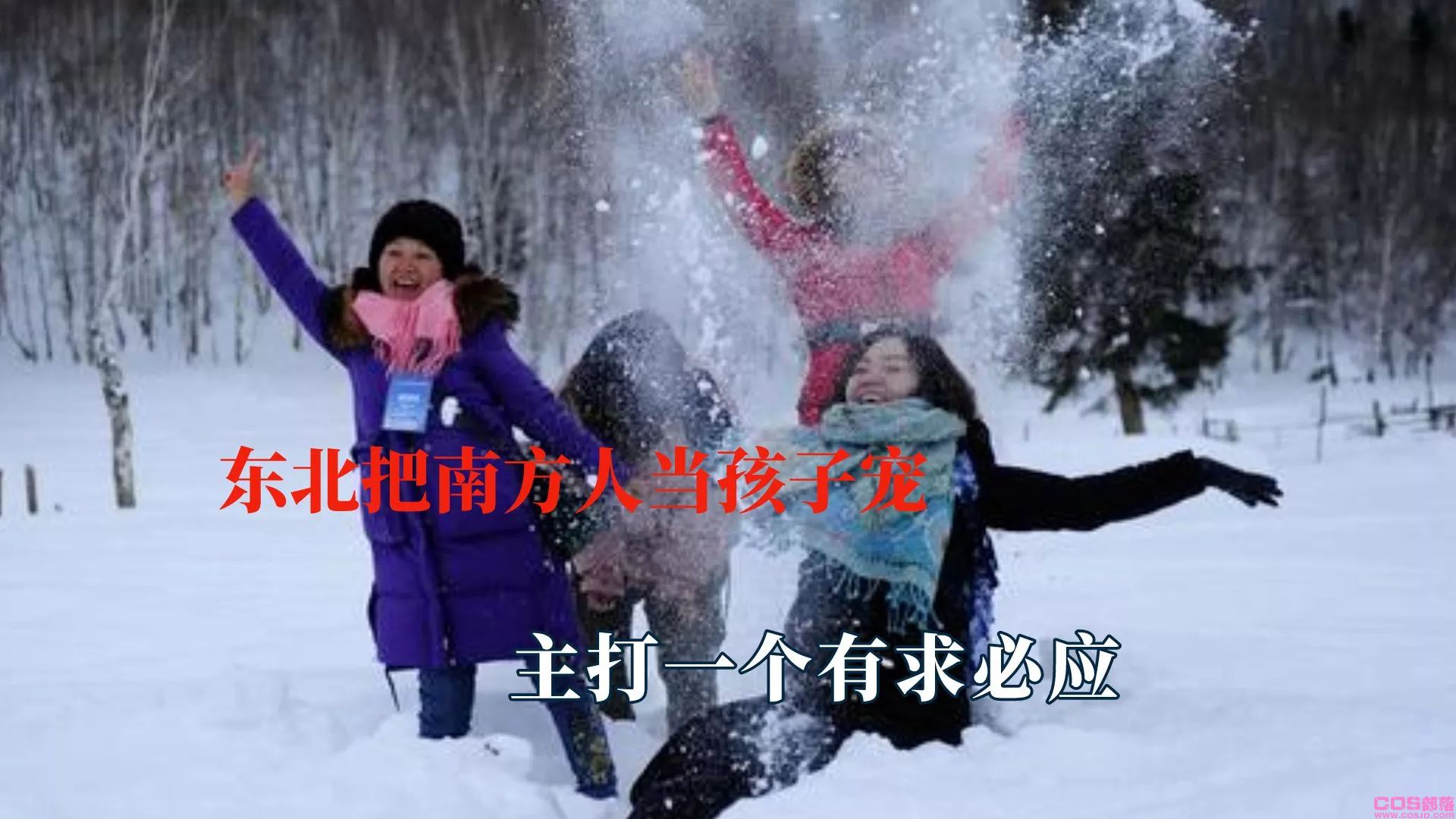 南方小土豆是什么梗？勇闯大东北，解锁雪域冰雪之旅(图5)